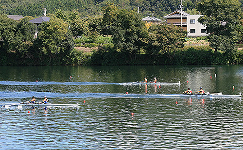 男子ダブルスカルの決勝戦で激しい首位争いを見せる愛媛代表（井出・武田組（写真一番奥））